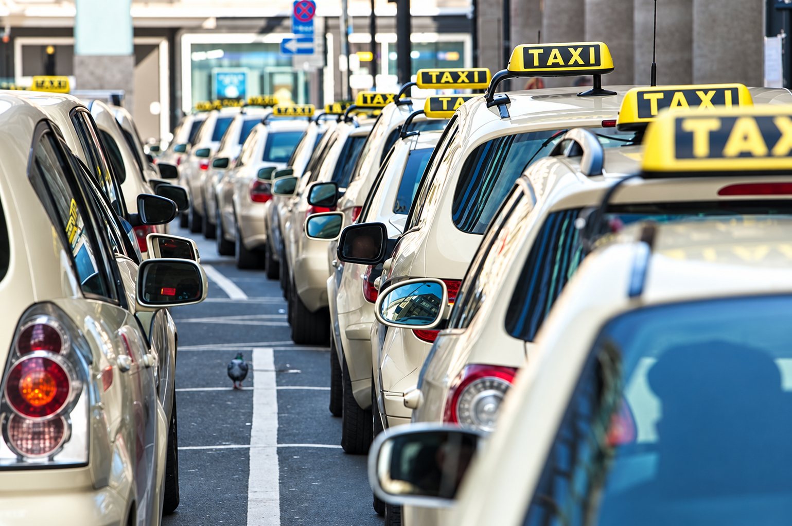 Une longue file de taxis beiges garés côte à côte, avec leurs enseignes lumineuses TAXI jaunes sur le toit, et un pigeon sur la chaussée.